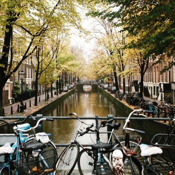 Meet your Posher, Nichole - Picture 2 of 8